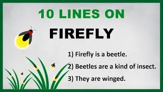 10 Lines on Firefly in English | Few Lines on Firefly