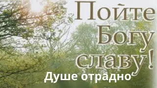 #фонограмма