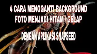 VIDEO TUTORIAL EDIT BACK GROUND FOTO MENJADI HITAM II SNAPSEED