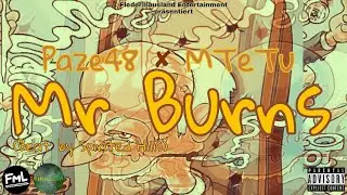 Paze48 X MTeTu - Mr. Burns (Beat by Spirited Hills)