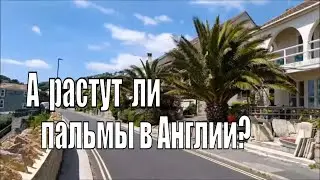 ПРОГУЛКИ ПО ОСТРОВУ И РОМАНТИЧЕСКИЕ ВСТРЕЧИ.  Romantic Gesture.