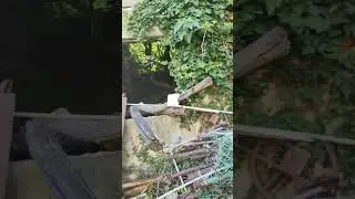 участок гагра 2 млн. #домикуморя #недвижимость Абхазии