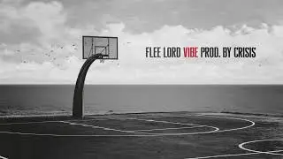 Flee Lord & Crisis - VIBE [Visualizer]