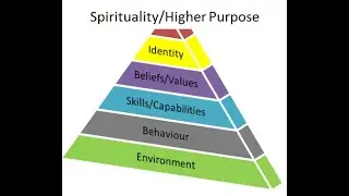 Mindset and NLP for Business - NLP Neurological Levels (Part 2)