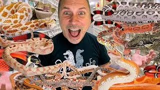 BHB REPTILE ROOM FULL TOUR!! UNCUT!! | BRIAN BARCZYK