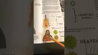 Higher Consciousness | Love | Book of Wisdom 📚❤️ #spiritualawakening Link is in the description 🔗