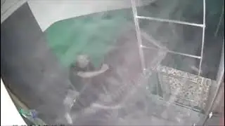 На волю за пивом!