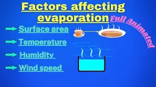 Factors affecting evaporation by Concept Learning. #animation #class9science #evaporation