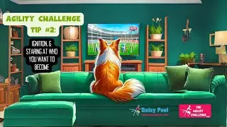 Agility Challenge Talent Tip 2: Stare at who you want to become