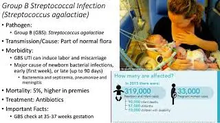 Bacterial Diseases COMPLETE