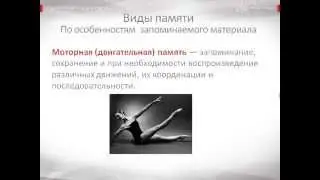 Психология урок 25 Виды памяти