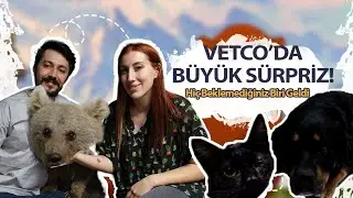 VETCO'DA BÜYÜK SÜRPRİZ!: Hiç Beklemediğiniz Biri Geldi