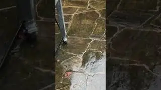 Hardscape Washing Results - 14