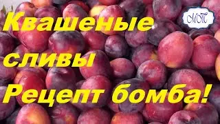 квашеные сливы