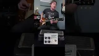 Ziggy StonkBox - Fuzz into Wah!