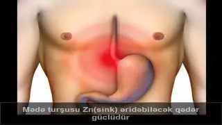 İnsan bedeninin 10 xususiyyeti