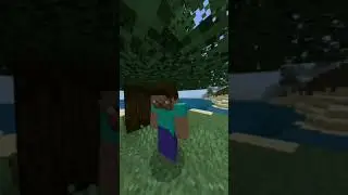 Disconnected Minecraft 