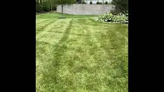 Before and after of a 14 x 14’ pond with an 8 foot stream and waterfall