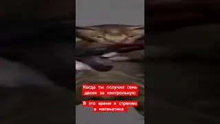 Математик не тупи!! 🤣🤣🤣🤣