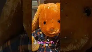 Being on TV!! #stuffedanimals #plushies #buildabear #TheStuffYouLove #toys