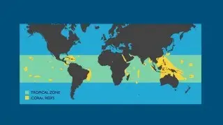 New Coral Reef Restoration