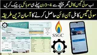 16. Sui Gas bill online Check 2026|Sui Gas Duplicate bill|SNGPL bill Online