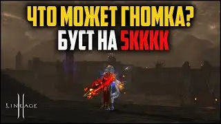 Магическая гномка с бустом на 5кккк адены в Lineage 2. На что способен Творец Сияния в PvE?
