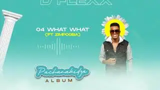 D-Flexx - What What (Official Audio) ft Zim Pogba