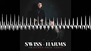 Folge 18 - Reisetagebücher - SWISS+HARMS - ZWISCHEN TOUR+ANGEL