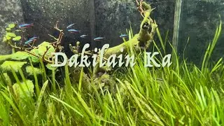 Dakilain Ka • Lyric Video • Original Song