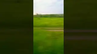 едим в поле пока нет дождя