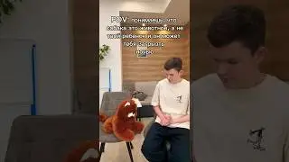 Зaгpызет или нет???