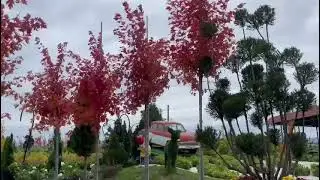 WhatsApp Video 2021 10 15 at 3 37 19 PM