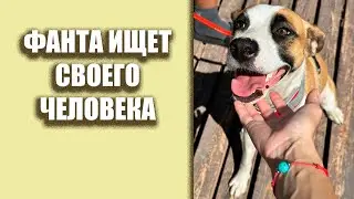 Где же ты, голос мой? ФАНТА ищет своего ЧЕЛОВЕКА 