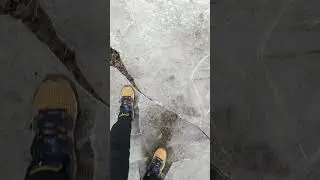 Прогулка по льду в лесу