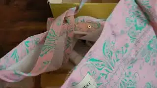 Распаковка коробочки splendist.