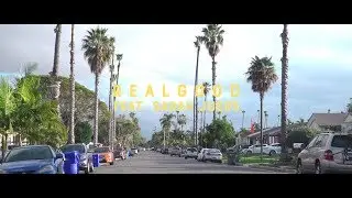 TROSSTHEGIANT - RealGood (feat. Sarah Juers)