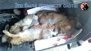 Охота на зайца и шакала в Ставропольском крае. Открытие 2021