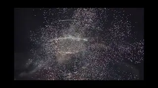 Eniomus - Нескінченний цвіт
