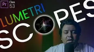 Understanding LUMETRI SCOPES in Premiere Pro | Class 53 | Life In Layers