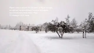 Городской парк Краснодар зимой