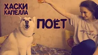 [Архив] Хаски Капелла поёт