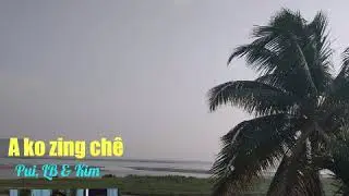 A ko zing chê