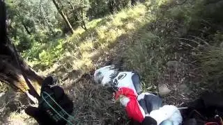 Параплан против орла..mp4