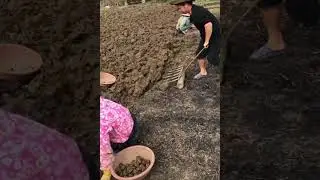 💡 Великие идеи.  А вы как вскапываете огород?