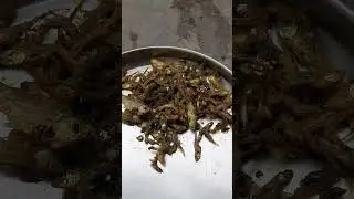 Small Fish 🐟 Recipe छोटी मछली इस ठंडी में 😋😋 #reels  #shortvideo #youtubeshorts