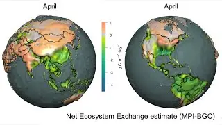 Earth's Carbon Cycle