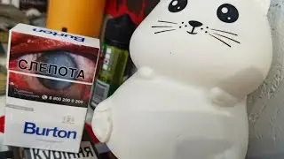 Обзор на белый BURTON