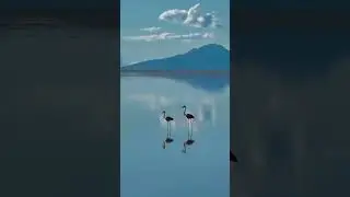 The world's largest salt lake in 30 seconds