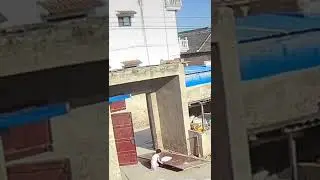 Old huge metal door fall on two little children and a dog watch until the end